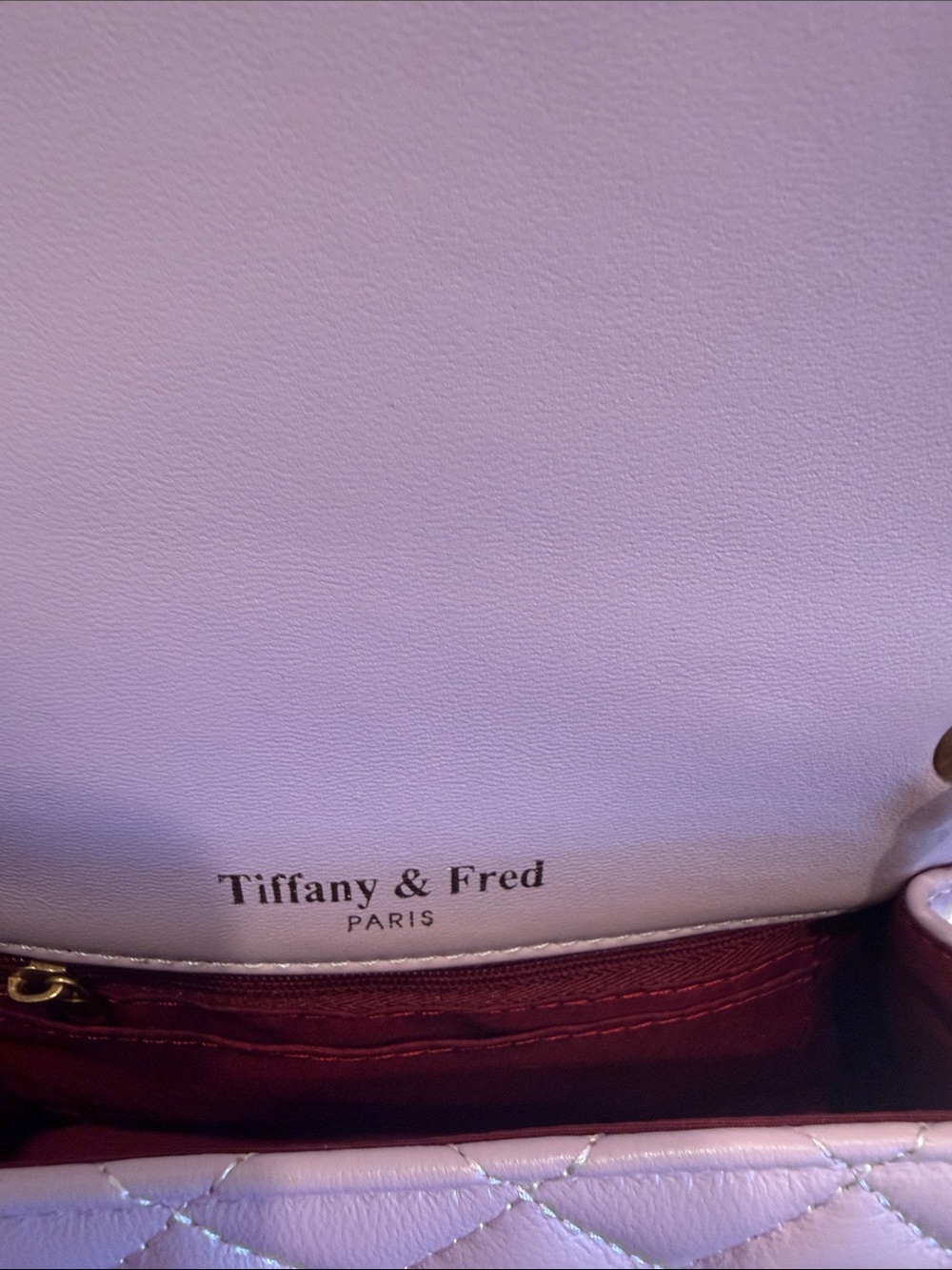 Tiffany & Fred. Pink Chain Crossbody with Gold Hardware - Picture 7 of 8